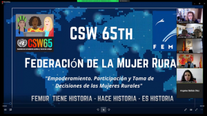 DELEGACIÓN DEL INSTITUTO ICIIN EN LA ONU